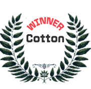My Store